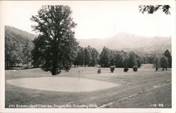 6th Green - Country Club Tryon, NC Postcard Postcard Postcard