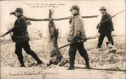 Hunters Bringing Home Huge Rabbit Postcard