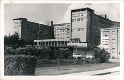 U.S. Marine - Public Health Service Hospital San Francisco, CA Postcard Postcard Postcard