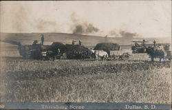 Threshing Scene Postcard