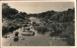 Hluhluwe River Mluhluwe Game Reserve, Swaziland Africa Postcard Postcard Postcard