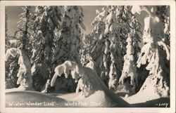 Winter Wonder Land Whitefish, MT Postcard Postcard Postcard