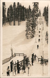 Badger Pass - Yosemite National Park Postcard Postcard Postcard