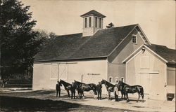 Horses Outside Barn Postcard Postcard Postcard