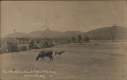 Poke G'Moonshine Pass, Baldfaco & Fordway Postcard