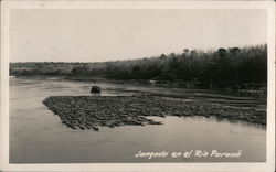 Raft in the Paranà River Brazil Postcard Postcard Postcard