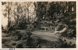 Garden and Forest, C.S. Sanitorium Postcard