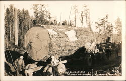 Logging Scene, Western Washington State Postcard Postcard Postcard