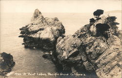 At Point Lobos Postcard