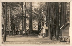 Cabins at Big Trees Resort, Big Trees Postcard