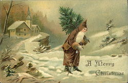 Santa with Brown Robe Santa Claus Postcard Postcard