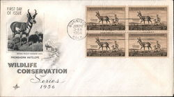 Wildlife Conservation Series 1956 Block of Stamps First Day Covers First Day Cover First Day Cover First Day Cover