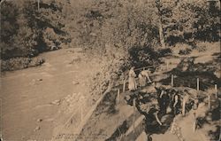 Mineral Spring, Castle Rock Postcard