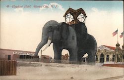 Elephant Hotel Postcard