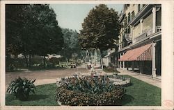 Grounds of the Kittatinny Postcard