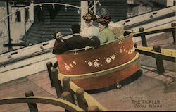 Luna Park, The Tickler Coney Island, NY Postcard Postcard Postcard