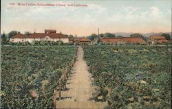 Wine Cellars, Italian Swiss Colony Postcard