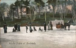 Winter Scene at Birchdale Postcard