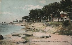 Cottages and Point at Indian Neck Postcard