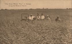 The Great Wheat Way in Kansas Postcard