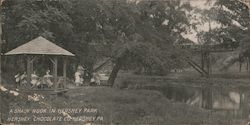 A Shady Nook in Hershey Park, Hershey Chocolate Co. Pennsylvania Postcard Postcard Postcard