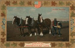 American Homestead Life: A Little Refresher Postcard