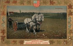 Harrowing - American Homestead Life Postcard