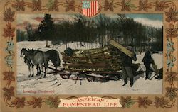 American Homestead Life Postcard