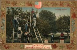 American Homestead Life Postcard