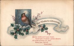 Best Wishes for Christmas Postcard