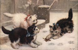 Three Cats Playing in the Snow Postcard Postcard Postcard