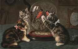 Cats eyeing two birds in a glass cage Tuck's Oilette Series Postcard Postcard Postcard