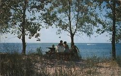 Picnicking on Presque, Isle State Park Erie, PA Postcard Postcard Postcard