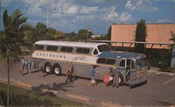 America's Favorite Bus: The Super Scenicruiser Buses Postcard Postcard Postcard