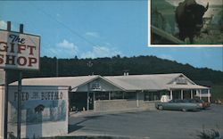 The Gift Shop - Home of "Billy, the Talking Buffalo" Tennessee Postcard Postcard Postcard