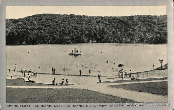 Diving Float, Taghkanic Lake, Taghkanic State Park Ancram, NY Postcard