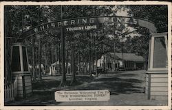 Whispering Pines Tourist Lodge Accomac, VA Postcard Postcard Postcard