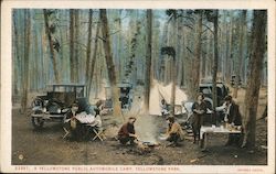 A Yellowstone Public Automobile Camp, Yellowstone Park Yellowstone National Park Postcard Postcard Postcard