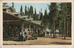 Lake Camp, Yellowstone Park Postcard