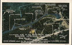 Map of the Under Water Scenes of Silver Springs Florida Postcard Postcard Postcard