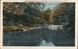 Lower Swimming Pool, Shinglekill Glen Purling, NY Postcard Postcard Postcard