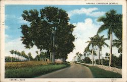 Central Road Postcard