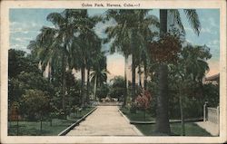 View of Colon Park Postcard