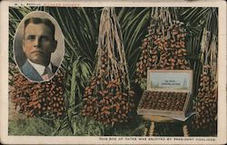 This Box of Dates was Enjoy by President Coolidge, W.L. Paul, Pioneer Grower Fruit Postcard Postcard Postcard