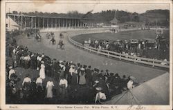 Westchester County Fair White Plains, NY Postcard Postcard Postcard