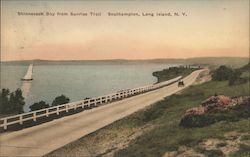 Shinnecock Bay from Sunrise Trail Southampton, NY Postcard Postcard Postcard