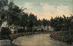 Driveway to the Royal Palm Hotel Miami, FL Postcard Postcard Postcard