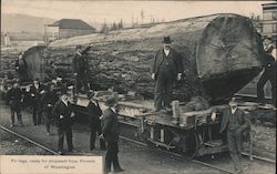 Fir Logs, Ready for Shipment from Forests of Washington Postcard Postcard Postcard