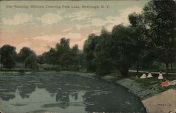 The Weeping Willows, Downing Park Lake Postcard