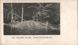 The Beaver House, Camp Forestburg Postcard